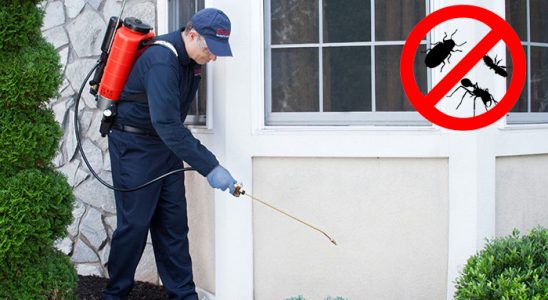 Seydişehir Böcek ve Haşere İlaçlama böcek ilaçlama ve haşere kontrolü — ilaclama-tr.com